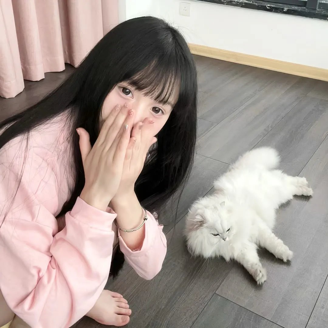 圣诞狗狗救援